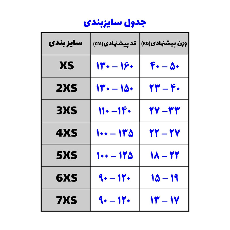 ست پیراهن و شلوارک ورزشی پسرانه طرح آژاکس کد 2019.20